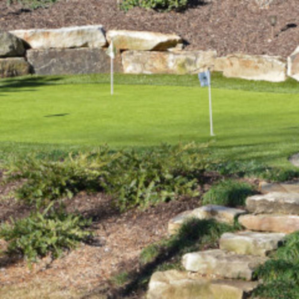 Top Trends For Greenwich Backyard Golf Putting Greens